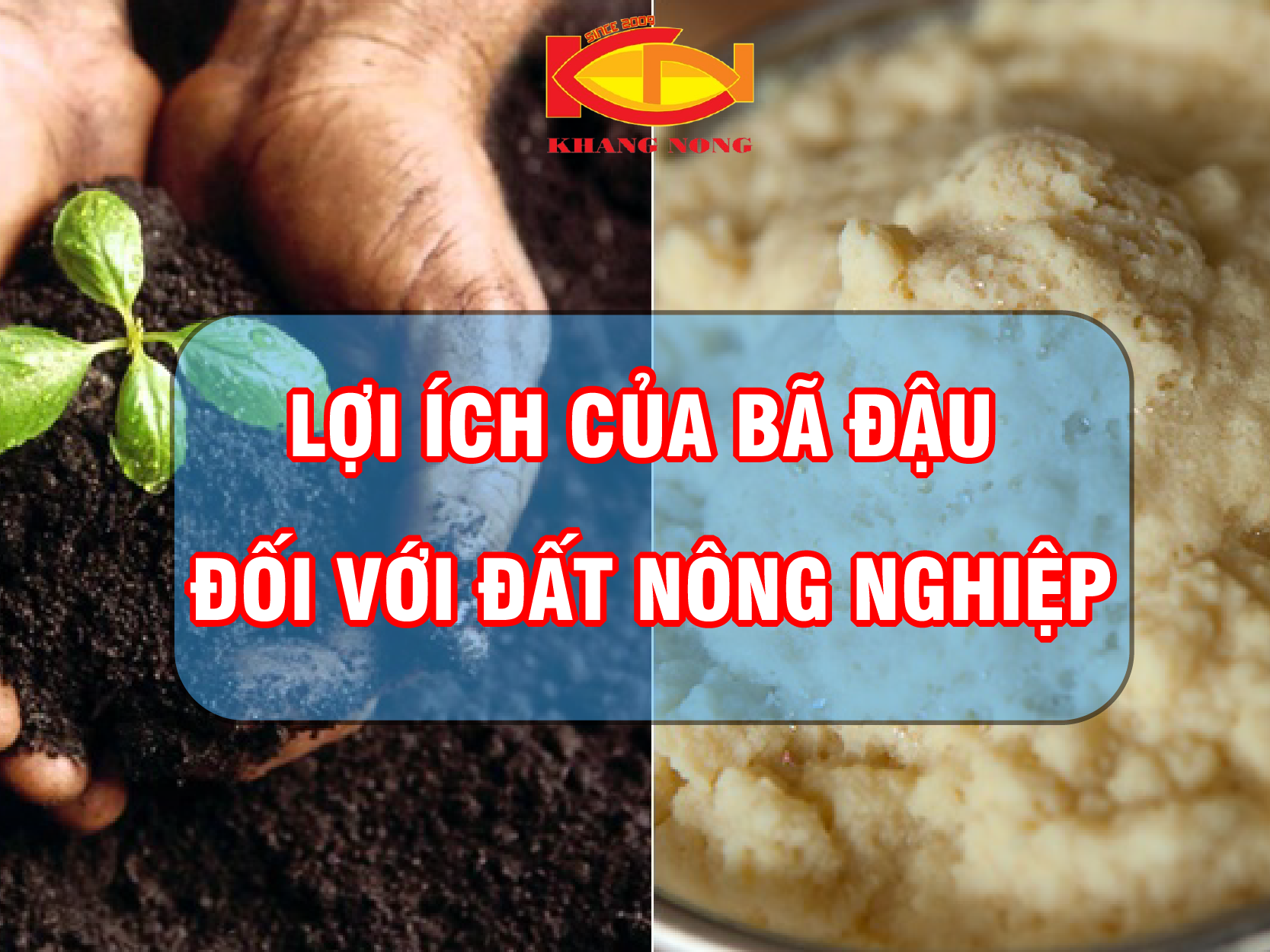 Lợi ích của bã đậu nành đối với đất nông nghiệp